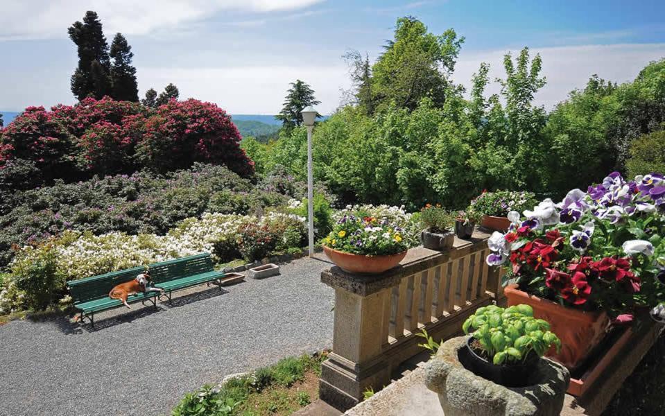 B&B Villa Tavallini Pollone Екстериор снимка